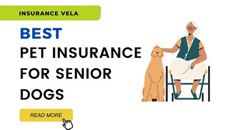 best pet insurance for seniors.